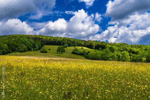 Rural Landscape With Forest And Flower Meadow At Cloudy Weather In Austria