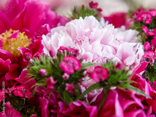 A beautiful bouquet of purple and pink peonies. Flower background of peonies