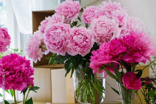 Fototapeta Naklejka Na Ścianę i Meble -  Blossoming delicate pink peony blooming flowers of peonies background, pastel and soft bouquet floral card, selective focus
