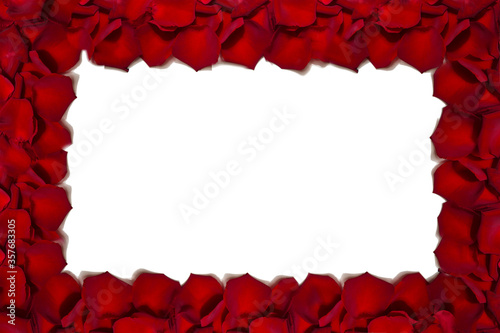 Beautiful background of red rose petals