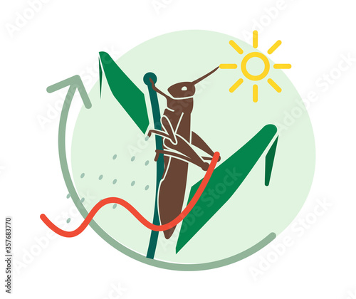 Locust Large Herbivorous Insects Attack on Crops - Icon