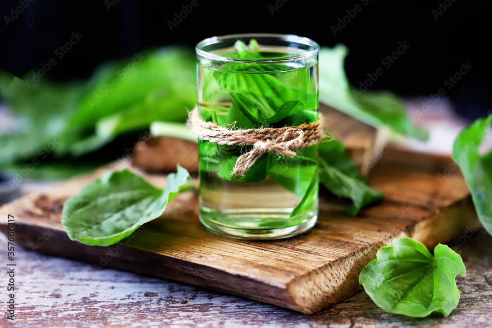 Selective focus. Plantain drink in a glass. Fresh leaves of plantain. Therapeutic tea of plantain. Selective focus. Plantain drink in a glass. Fresh leaves of plantain. Therapeutic tea of plantain.
