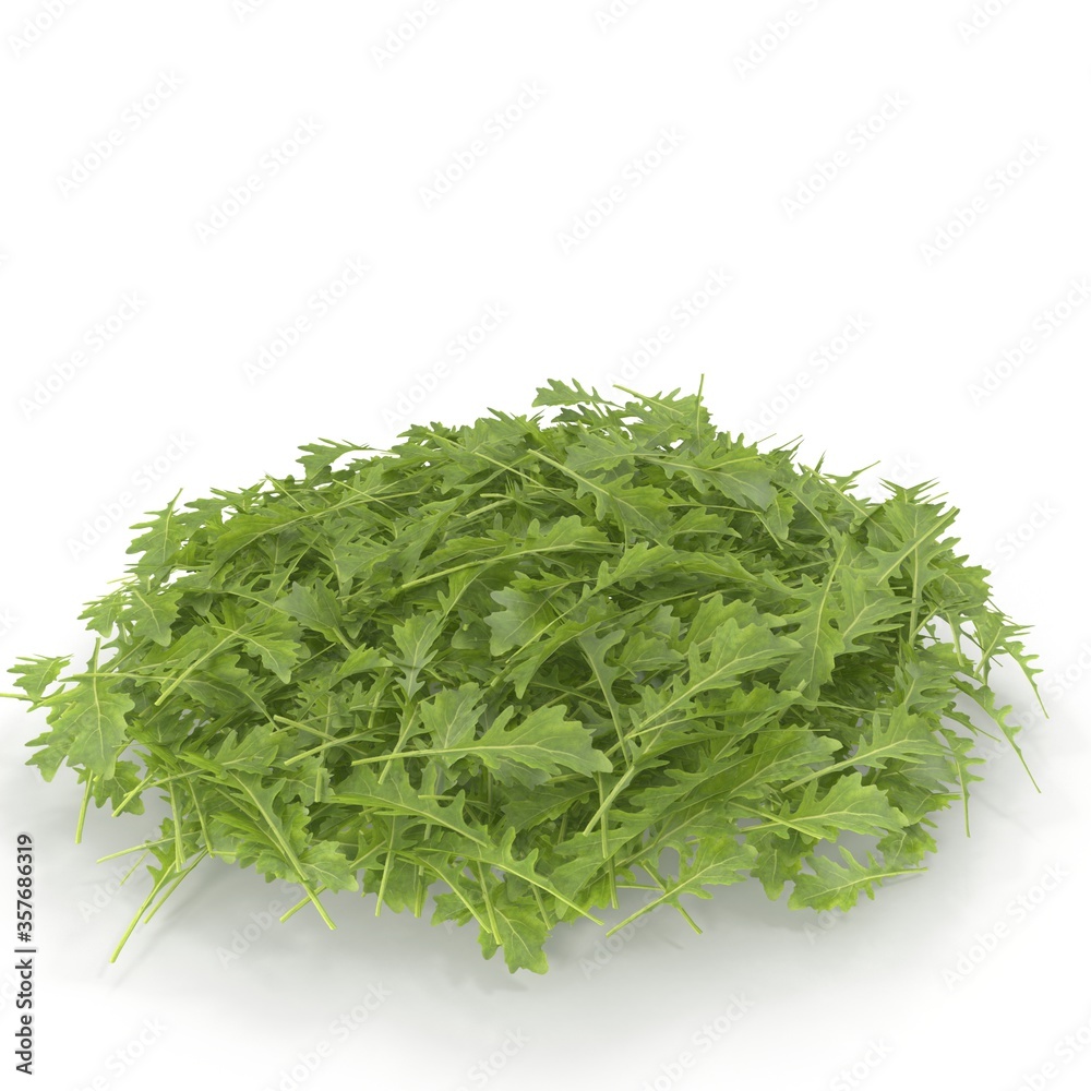Photorealistic highly detailed 3D model of a young arugula plant. 3D render. Photorealistic highly detailed 3D model of a young arugula plant. 3D render.