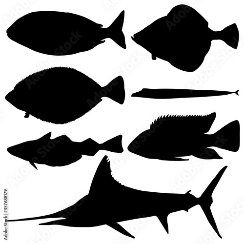Set of sea fish. Dorado, flounder, swordfish, saber fish, tilapia, hake. Vector image.