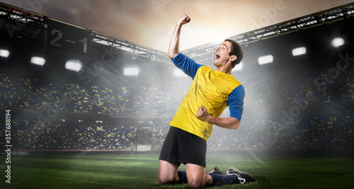 Bild auf Leinwand Goal scored