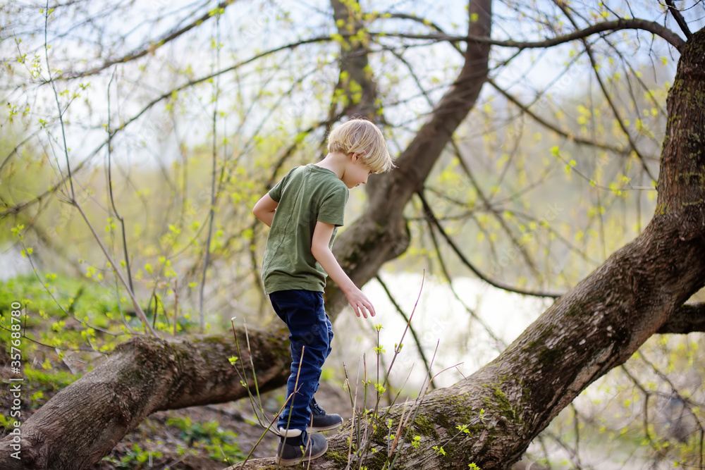 Preschooler child walking in forest after rain. Kid playing and having fun in spring or summer day. Preschooler child walking in forest after rain. Kid playing and having fun in spring or summer day.