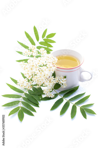 Rowan flower tea cup isolated on a white background