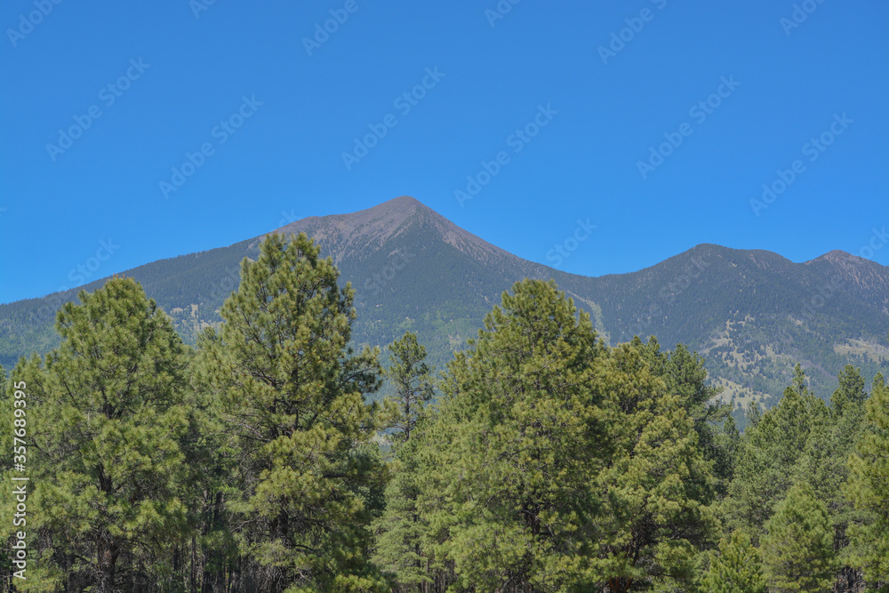 Fototapeta premium The view of Mount Humphreys and its Agassiz Peak. One of the San Francisco Peaks in the Arizona Pine Forest. Near Flagstaff, Coconino County, Arizona USA