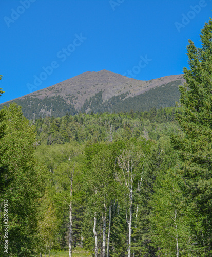 The view of Mount Humphreys and its Agassiz Peak. One of the San Francisco Peaks in the Arizona Pine Forest. Near Flagstaff, Coconino County, Arizona USA