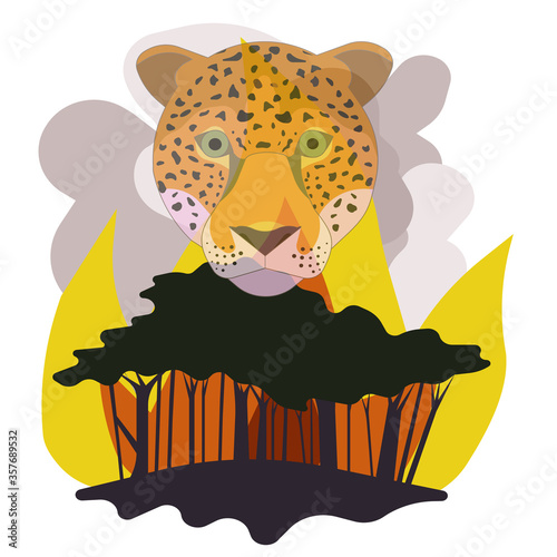Jaguar and aflaming forest with fire and smoke on white isolated background, vector illustration for posters, booklets, emblems, design of websites, concept of Environmental Protection, Wildlife.