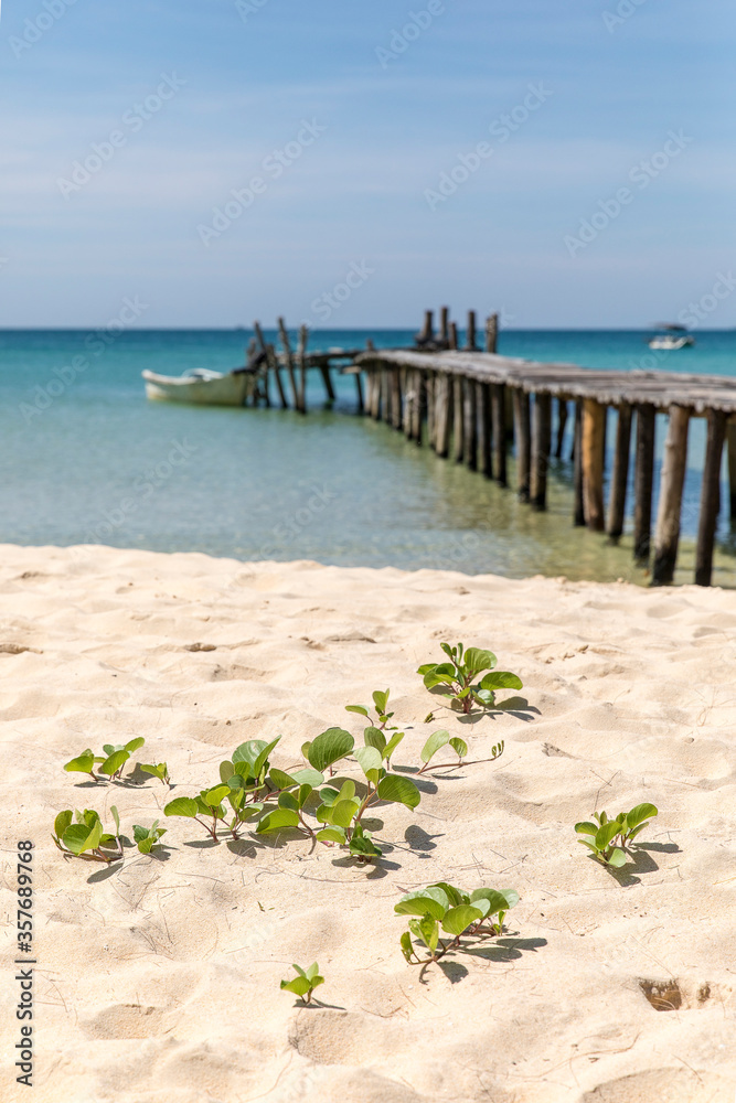 Fototapeta premium old wooden pier, lazy beach, koh rong samloem island, Sihanoukville, Cambodia.