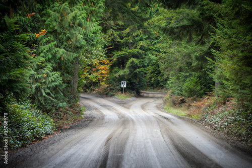Empty dirt road which splits in two, concept for life choices or decisions
