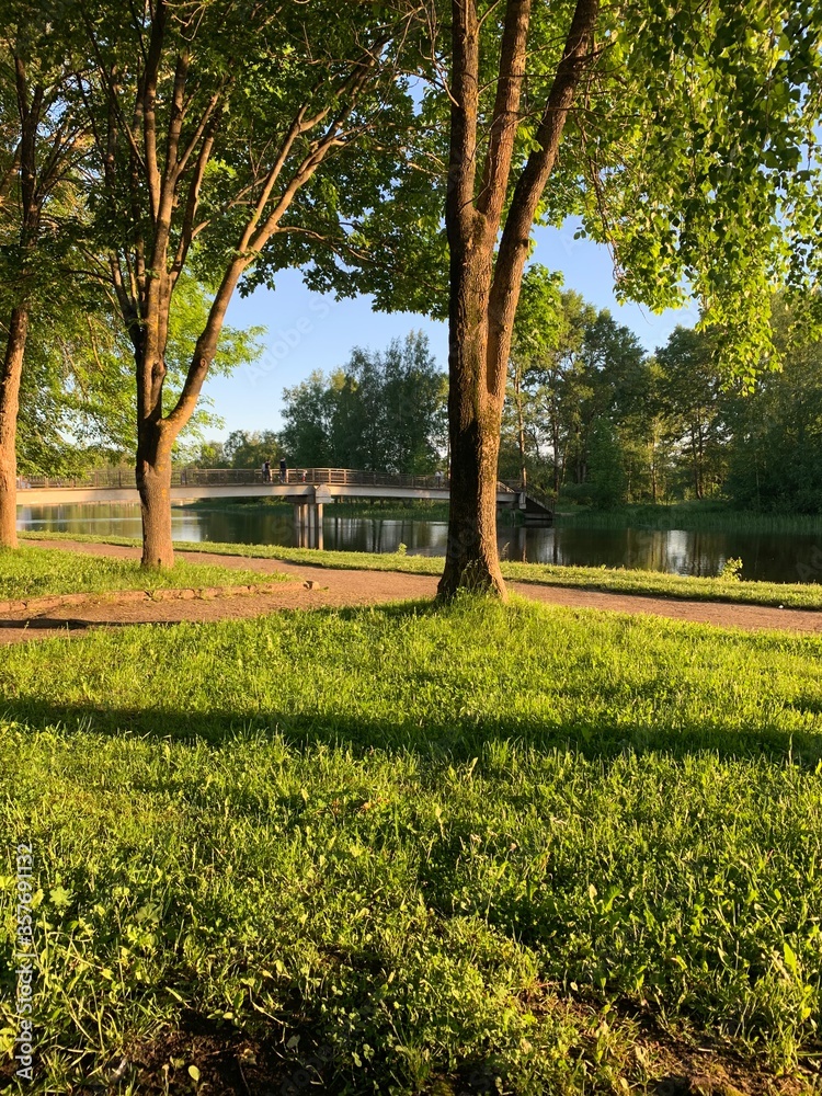 Obraz premium beautiful nature of russia
