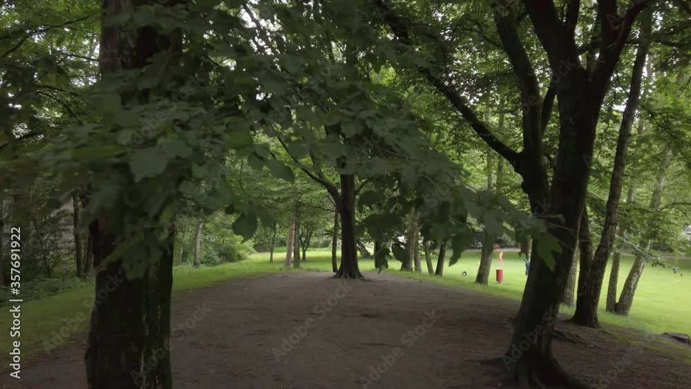Forrest Walk | 4k Slow Motion Forrest Walk | 4k Slow Motion
