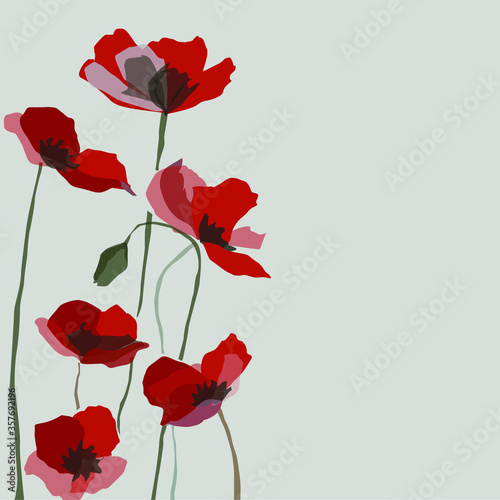 Flowers art illustration vector red Floral in white background