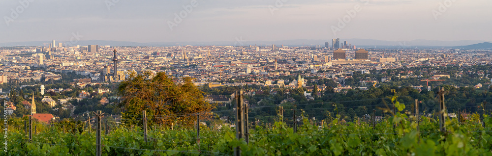 Panorama über Wien von Weinbergen