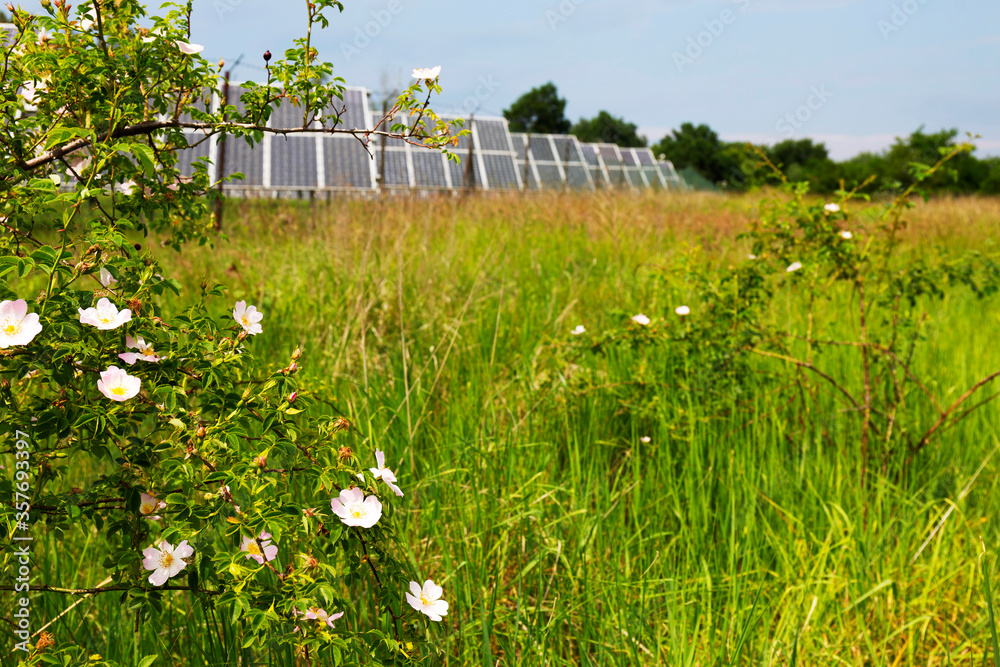 Solar Power Station on the spring flowering Meadow Solar Power Station on the spring flowering Meadow