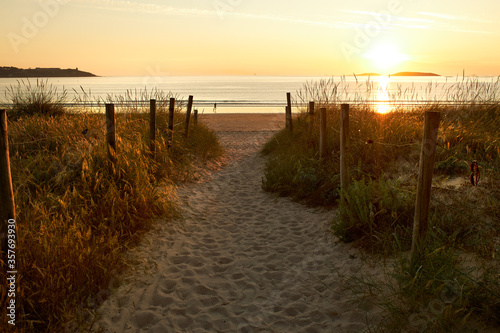 Sandy path to the beach among vegetation at sunset