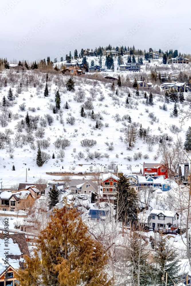 Park City neighborhood on snowy hill brightened by colorful homes and evergreens