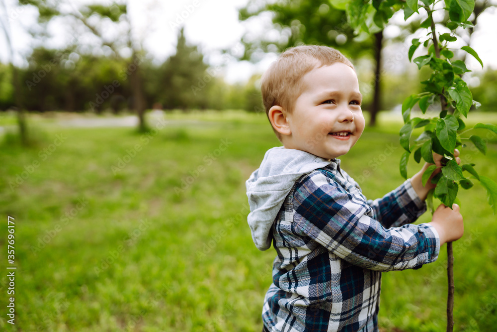 Little child plants young tree. Fun little gardener. Spring concept, nature and care. Little child plants young tree. Fun little gardener. Spring concept, nature and care.