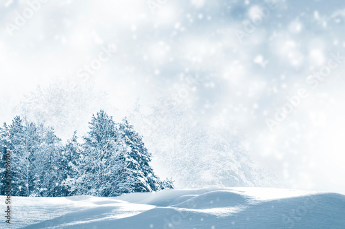  Winter landscape. Abstract greeting card. Natural Christmas background © alenalihacheva