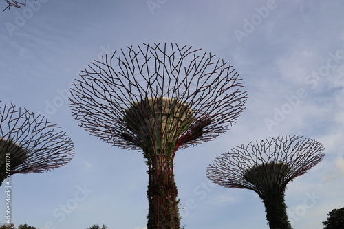 Forêt artificielle, jardins de la Baie à Singapour © Atlantis