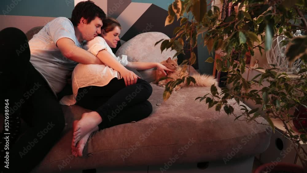 Man and pregnant woman are laying together and she is stroking a cat. The family is relaxing at the sofa. Camera is hiding behind the green plant. The conception of happy family life and pregnancy.