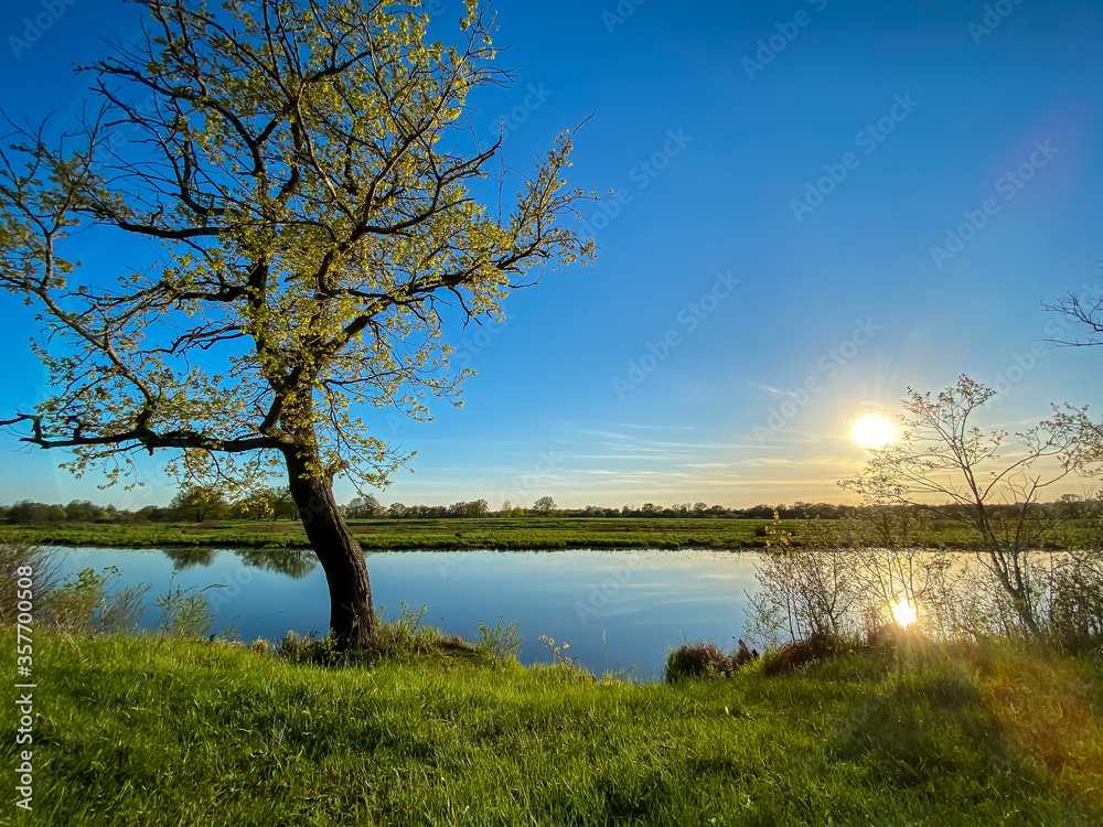 Natural pond with trees in spring during sunset in Central Russia, Vladimir Region Natural pond with trees in spring during sunset in Central Russia, Vladimir Region