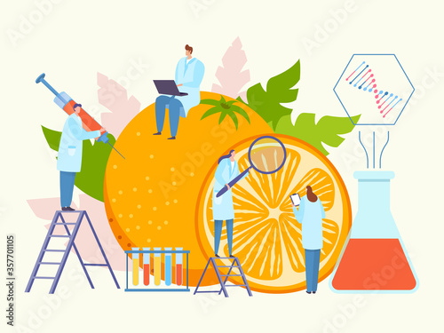 Bioengineering food, genetically modified product vector illustration. Science organic research with large orange. People character in uniform perform experiment and discover fruit in laboratory.