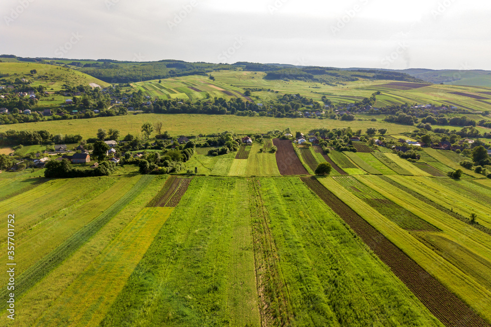Aerial view of a small village win many houses and green agricultural fields in spring with fresh vegetation after seeding season on a warm sunny day.