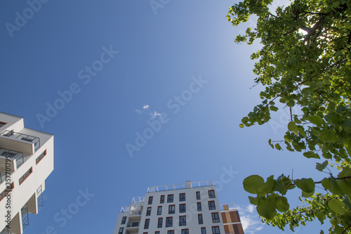 blue sky in the city, trees and sky in the city, summer in the city © Grzegorz