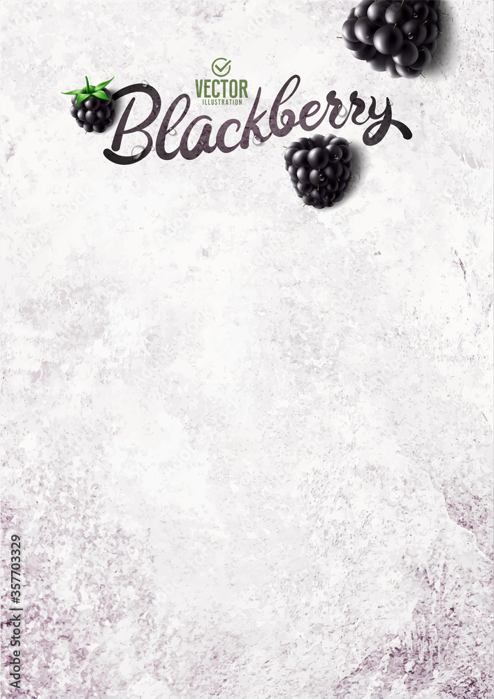 Fototapeta premium Vector realistic blackberry illustration on white stone background