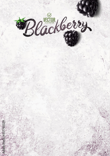 Vector realistic blackberry illustration on white stone background