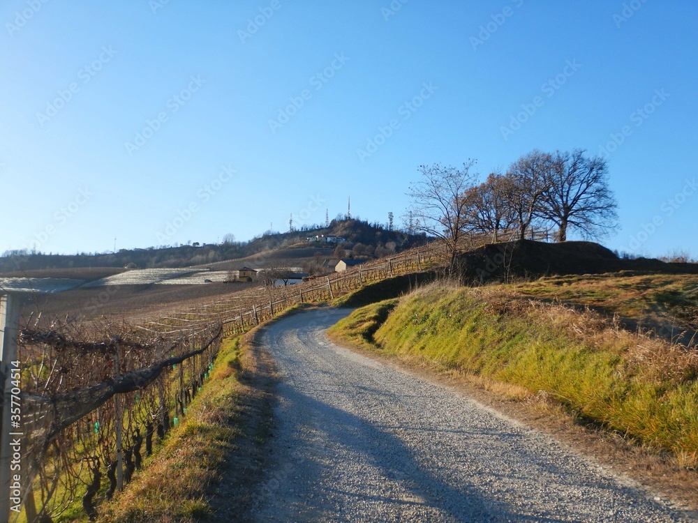 Path in the Langhe towards La Morra. Piedmont - Italy