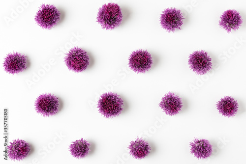 Purple flowers pattern. Onion wildflowers composition on white background. Floral minimal concept