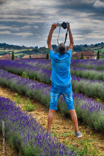 Fotografare la lavanda photo