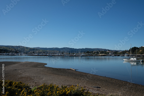 View of Mana Marina near Wellington New Zealand on a sunny day