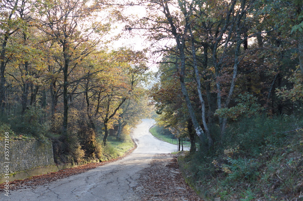 Obraz premium Nature 