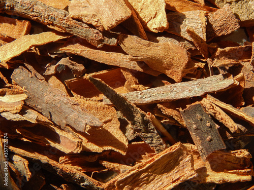 Close-up view of cinnamon bark