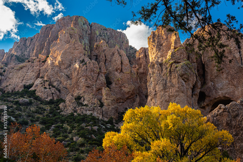 Afternoon light fills Cave Creek Canyon  in full autumnal glory. Cave Creek Canyon, Portal, Arizona.