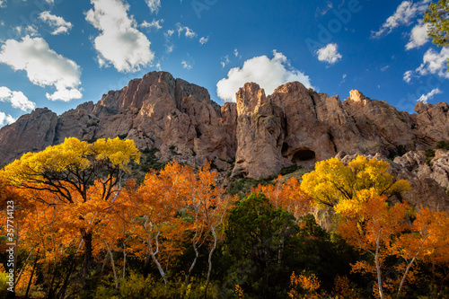 Late afternoon light spills over the landscape of Cave Creek Canyon illuminating the colorful autumn foliage.  Chiricahua Mountains near Portal, Arizona.