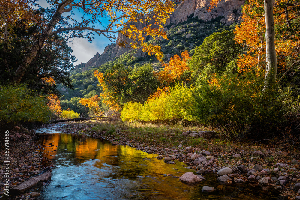 Bright Fall foliage reflects in the waters of Cave Creek. Cave Creek Canyon in the Chiricahua Mountains near Portal, Arizona.