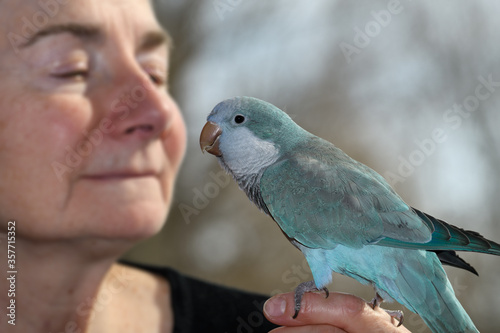 Male Quaker Parrot pet with blue mutation near the face of a smiling retired female owner