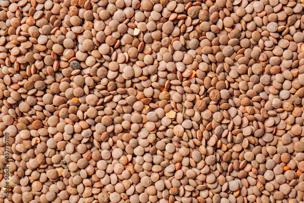 Heap of raw lentils as background Heap of raw lentils as background