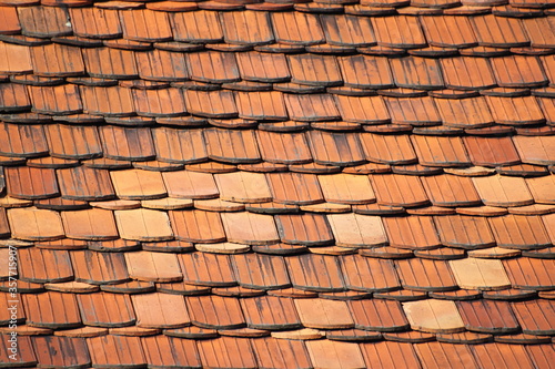 Roof structure. Carp tile.