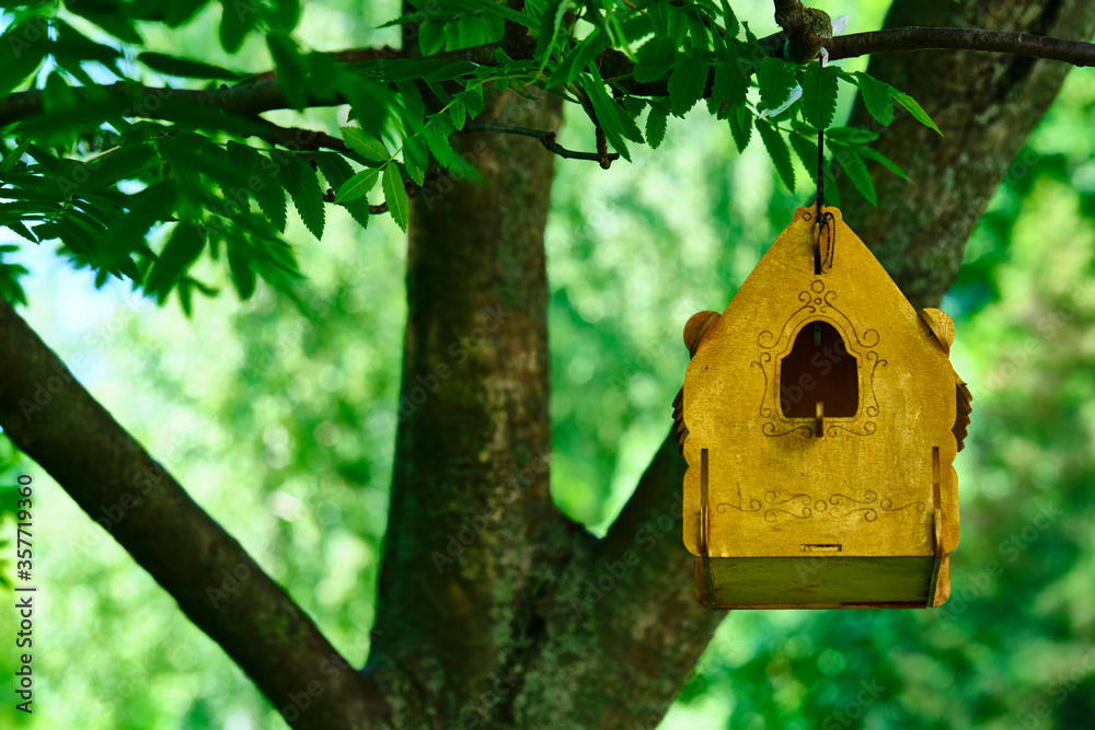 beautiful birdhouse hanging on a branch color beautiful birdhouse hanging on a branch color
