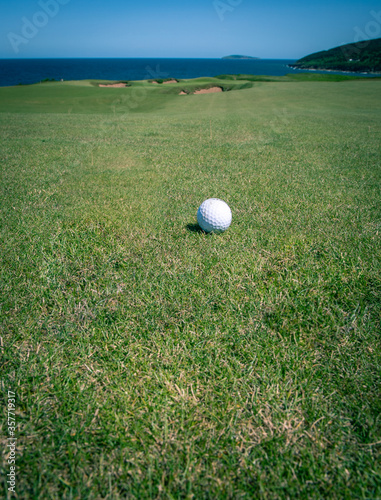 golf ball in the fescue  photo