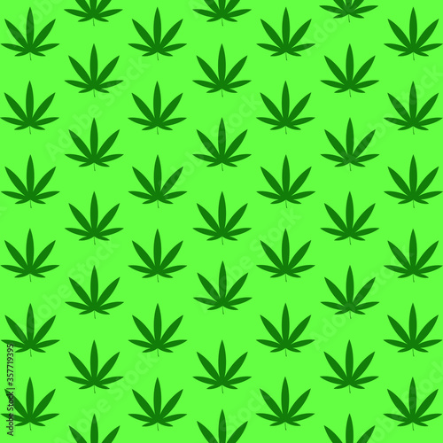 green pattern leafs of cannabis