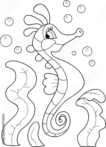 Photography Coloring page outline of cartoon smiling cute sea horse