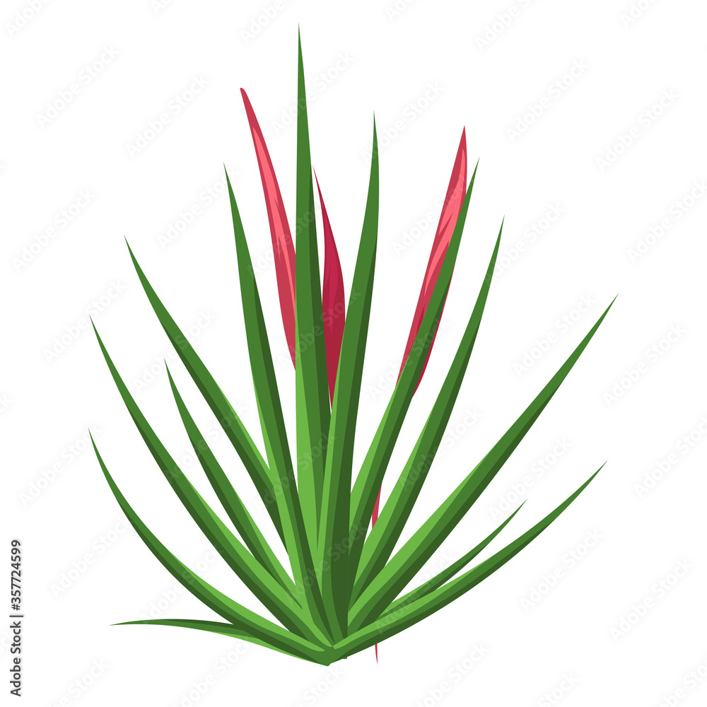 Jungle leaves and flowers Jungle leaves and flowers